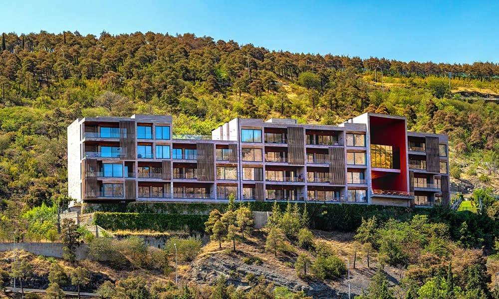 ნუცუბიძე